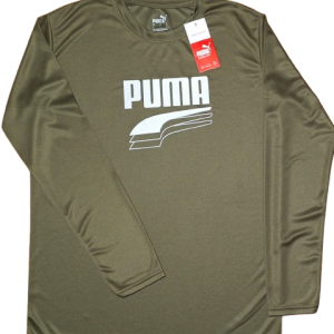 Puma Brown